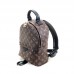Louis Vuitton Palm Springs PM